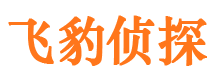 彰武市私家侦探